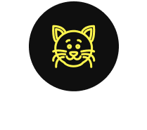 TICA Registration of savannah cats